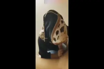 Hijab Cantik Ngentot Pasrah Sama Kekasih